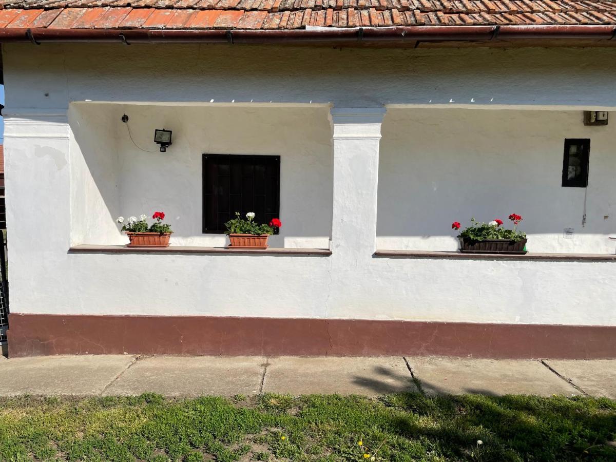 Ferienwohnung Zsuzsa Apartman Poroszló Exterior foto